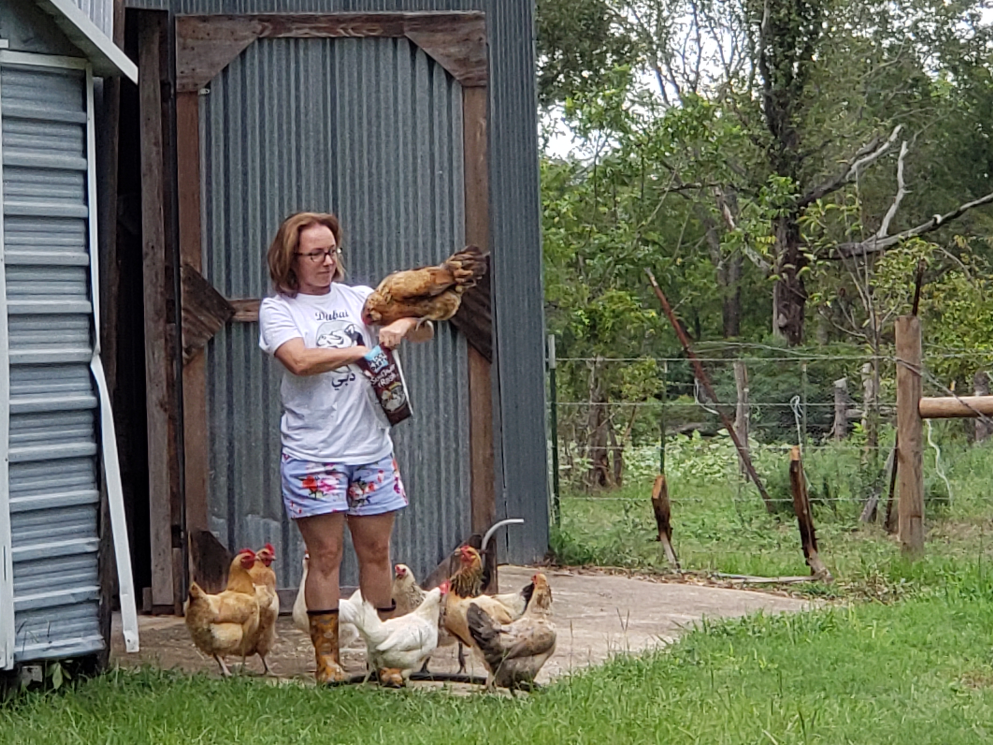 Isn't she the prettiest flock leader!