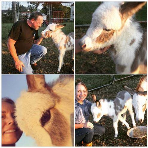 The country with you makes life awesome.