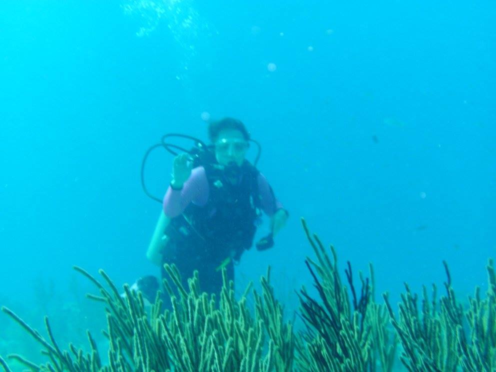 We were always spotting Goober Fish while diving!